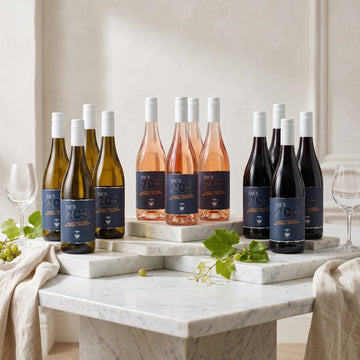 SACS200 Collection 12-Pack