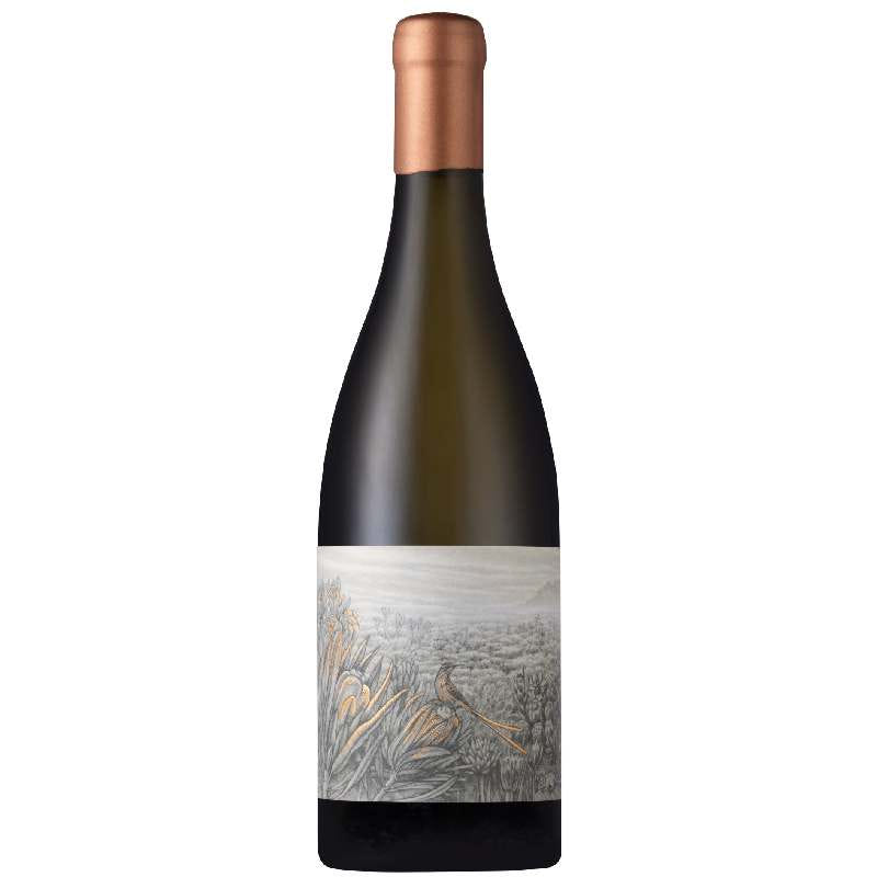 Nitida Coronata Integration 2023
