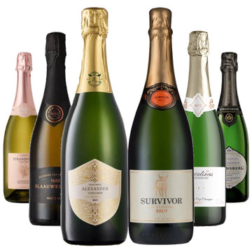 Bubbles & Elegance