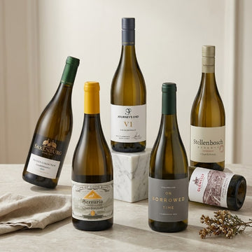 Chardonnay In Focus