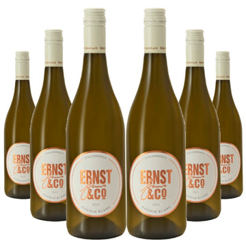 Ernst Gouws & Co Chenin Blanc 2025 x6