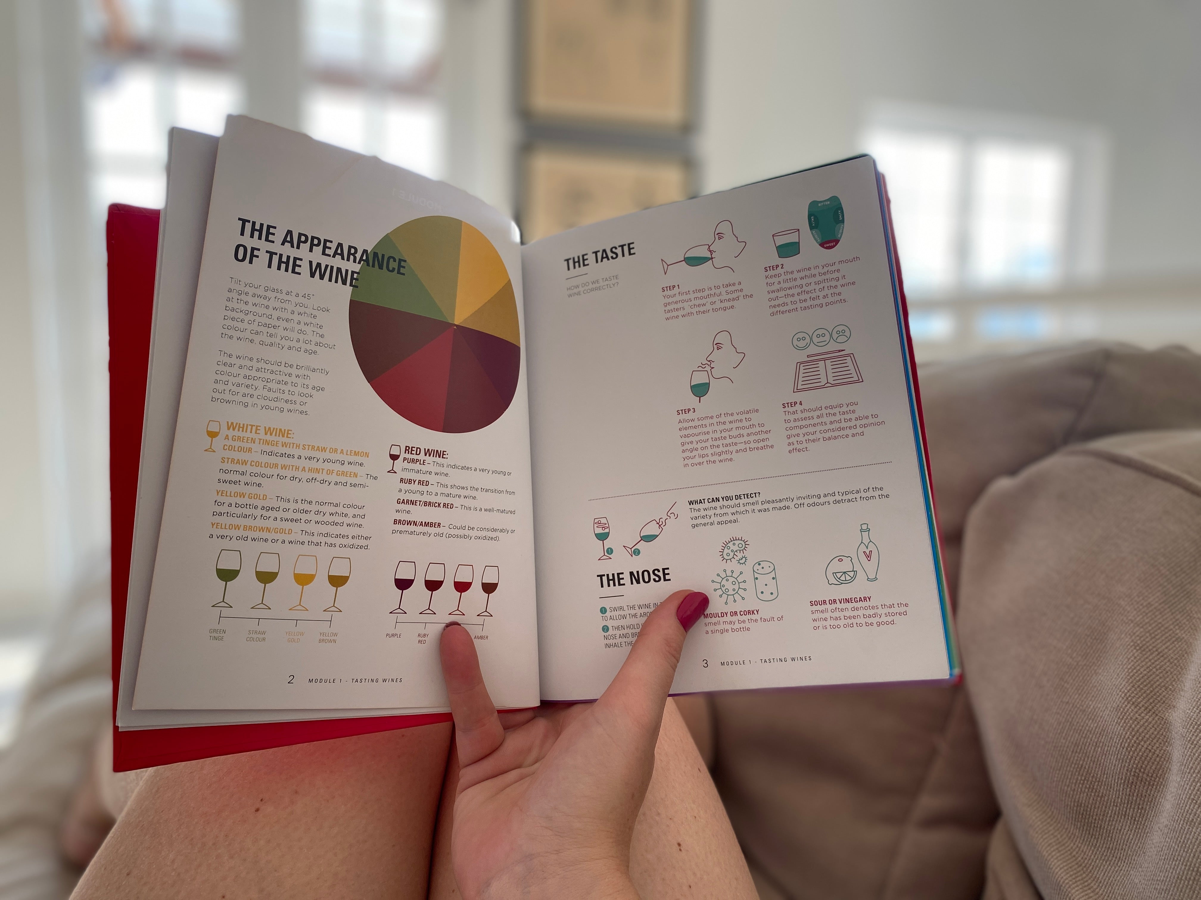 The Wine Appreciation Club