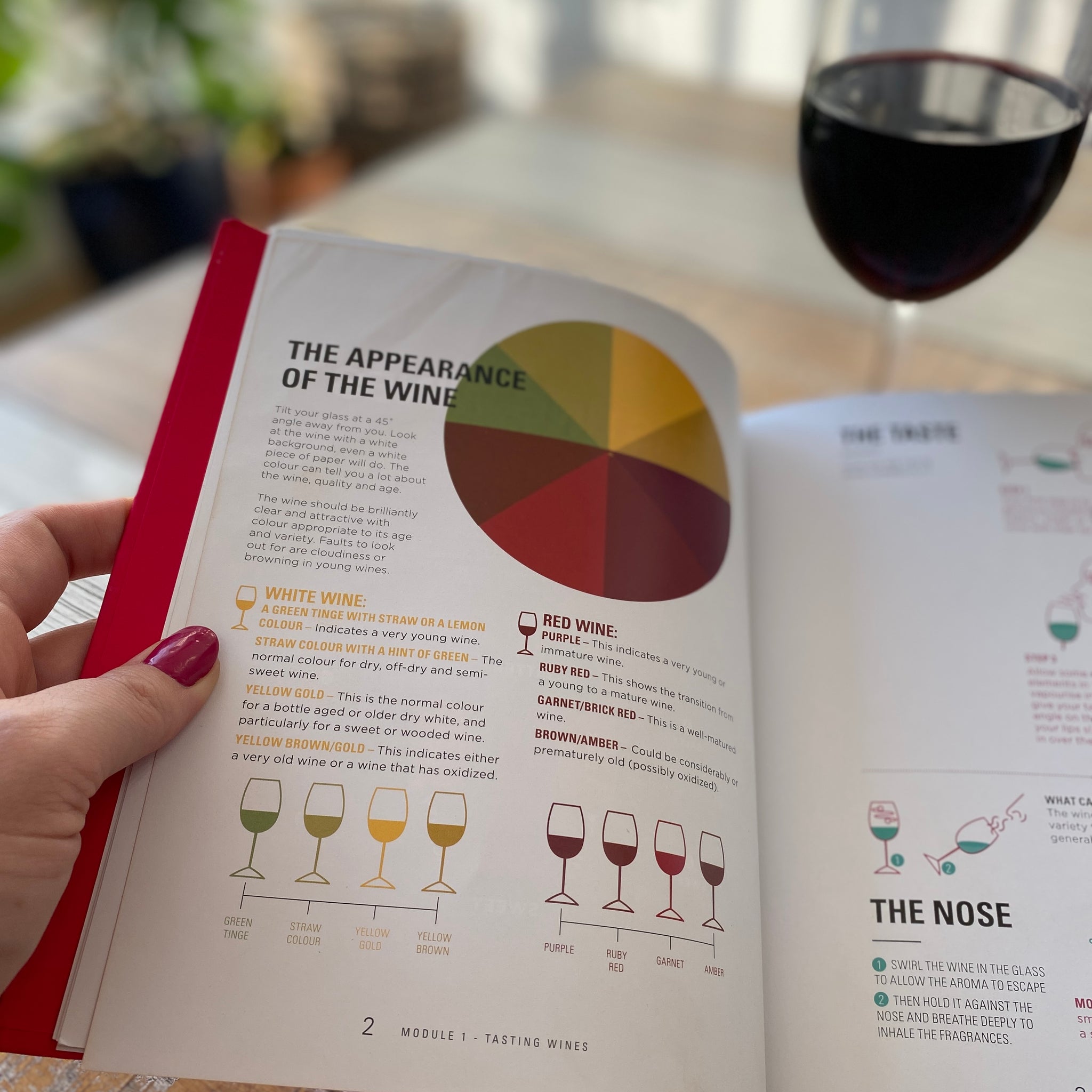 The Wine Appreciation Club
