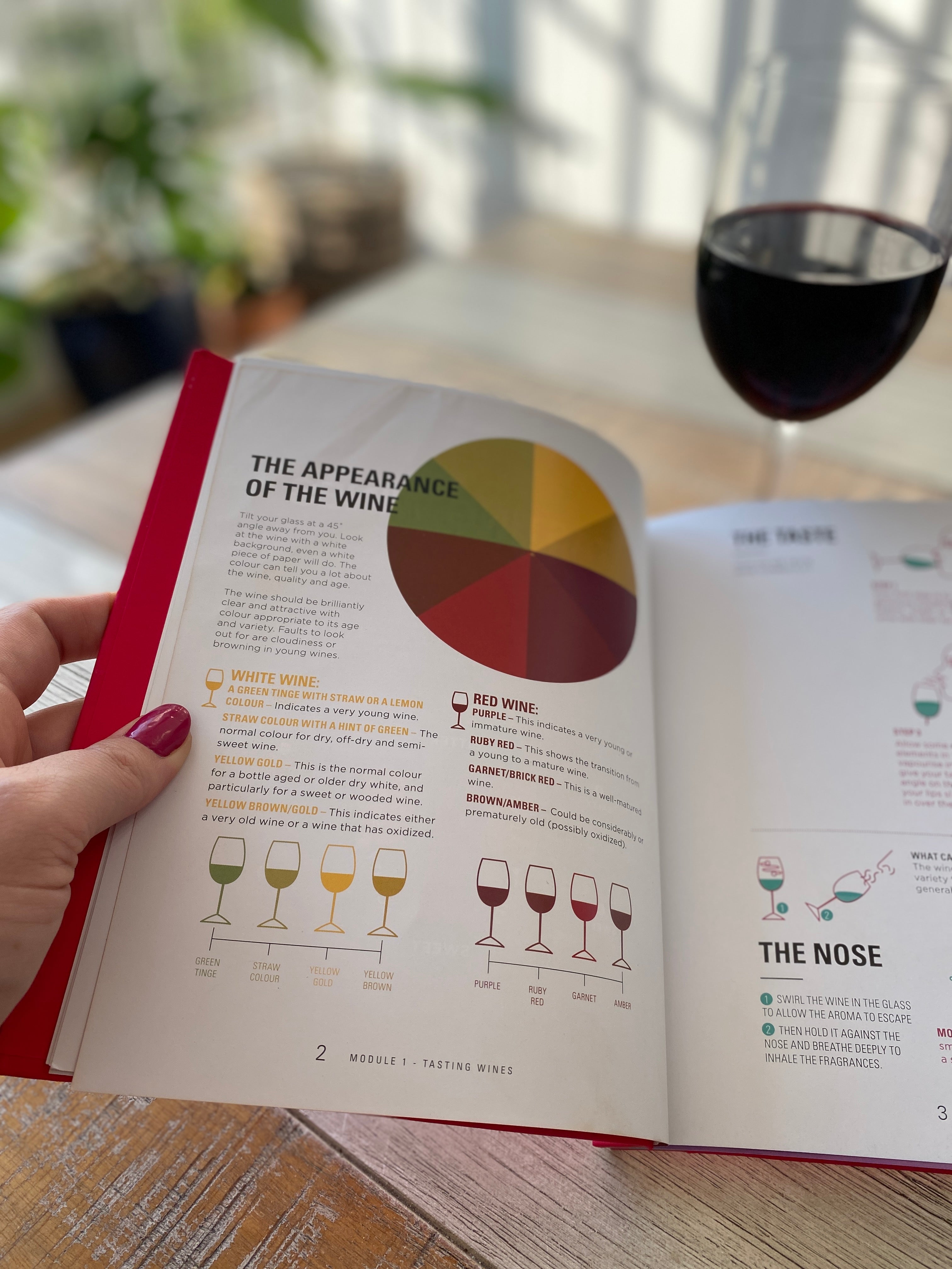 The Wine Appreciation Club