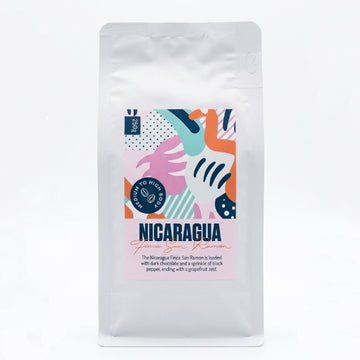 Nicaragua Finca San Ramon - Filter