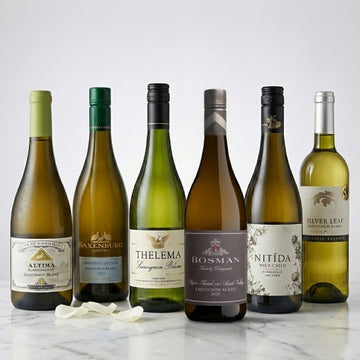 Sauvignon in Focus