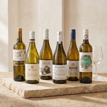 Sauvignon Through the Years