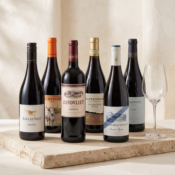 Shiraz After Dark