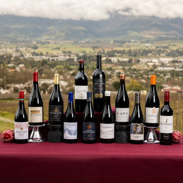 SA Top 12 Shiraz Selection 2026