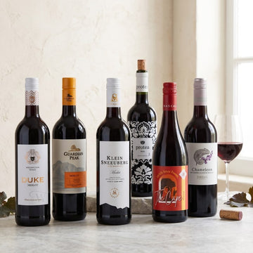 Sip Into Something Merlot Comfortable