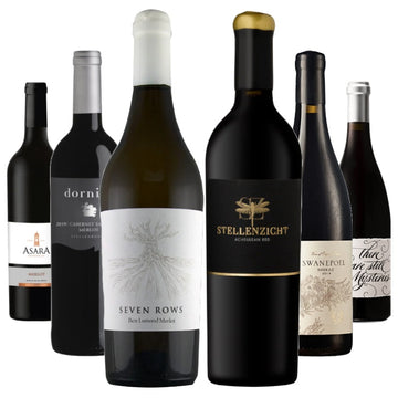 The 2019 Signature Collection