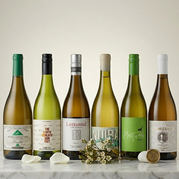 White Blend in Focus
