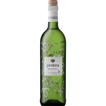 Protea Sauvignon Blanc 2024 - WINE-OF-THE-MONTH-CLUB