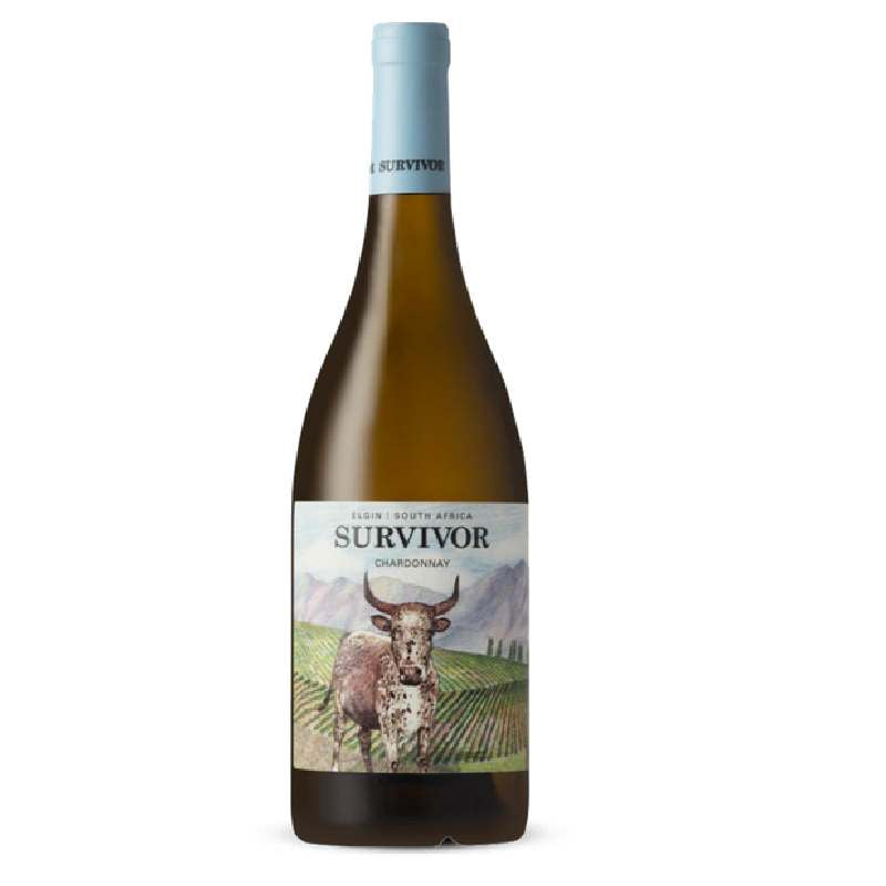 Survivor Terroir Chardonnay 2022 - WINE-OF-THE-MONTH-CLUB